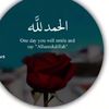 user7881481271102