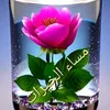 saraaa6237