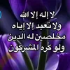 dsadahmad8