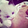 nryx_naay_ed1tz