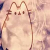 r1nkaa7