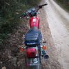 elcolocho811