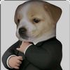 perro_elegant_