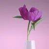 chinhlaanh596