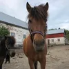 iloveriding12