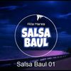 salsa baul