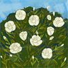 nour.houda0337