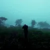ar2_lacheni