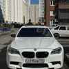 shamil5290