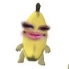 cegilrorwr