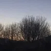 finley_770