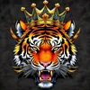 SHER 🐯