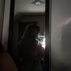 kayd3nc30
