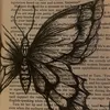 rahaf.osama20
