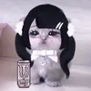 .0bacci