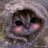 lilybonou