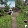 muhammadsyahrul2437