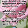 user6677153686134