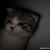 bellasaja020