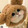 hiyyumi.offcial