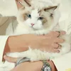 nguyentm_26