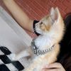 tatapera_selenx