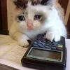 conmeotrang123