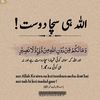 user882620442