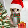 yffhtfh3