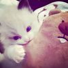 syg.kmuuuuuu