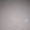 cumarmoha227