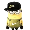 ppppehgsn