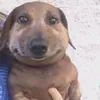 tunurrrrrunuz