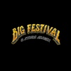 bigfestival2strokesragen