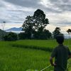 ridwandarmawan17