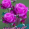 qmmmmmmm6