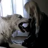 каждый раз как в последний
