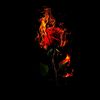noname7afg4
