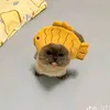 hngoccutii0
