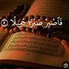 om.shvan8