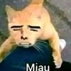 karlaitr0