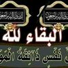 user4713114332508