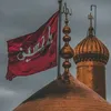 shouqatabbas087