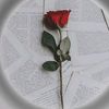 user647260347