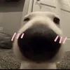 minhchienn34