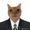 buiduckhaidb