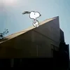 wspdog7