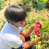 ppanda09_
