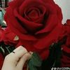zahra.fatma596