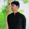 malik.andleeb.ahm